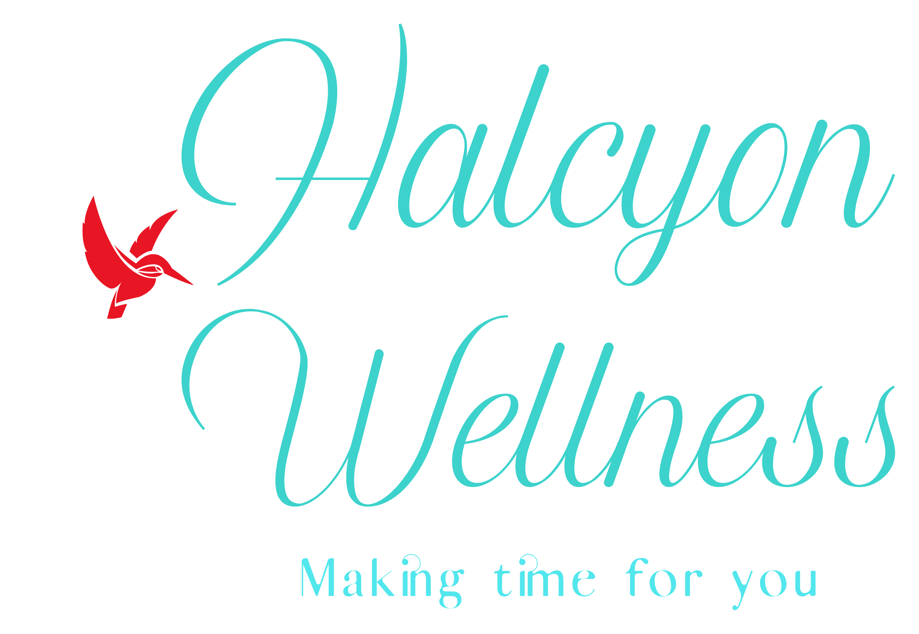 Halcyon Wellness Shop